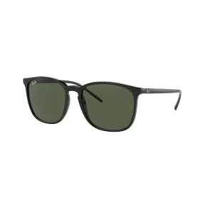 Black RB4387  Sunglasses