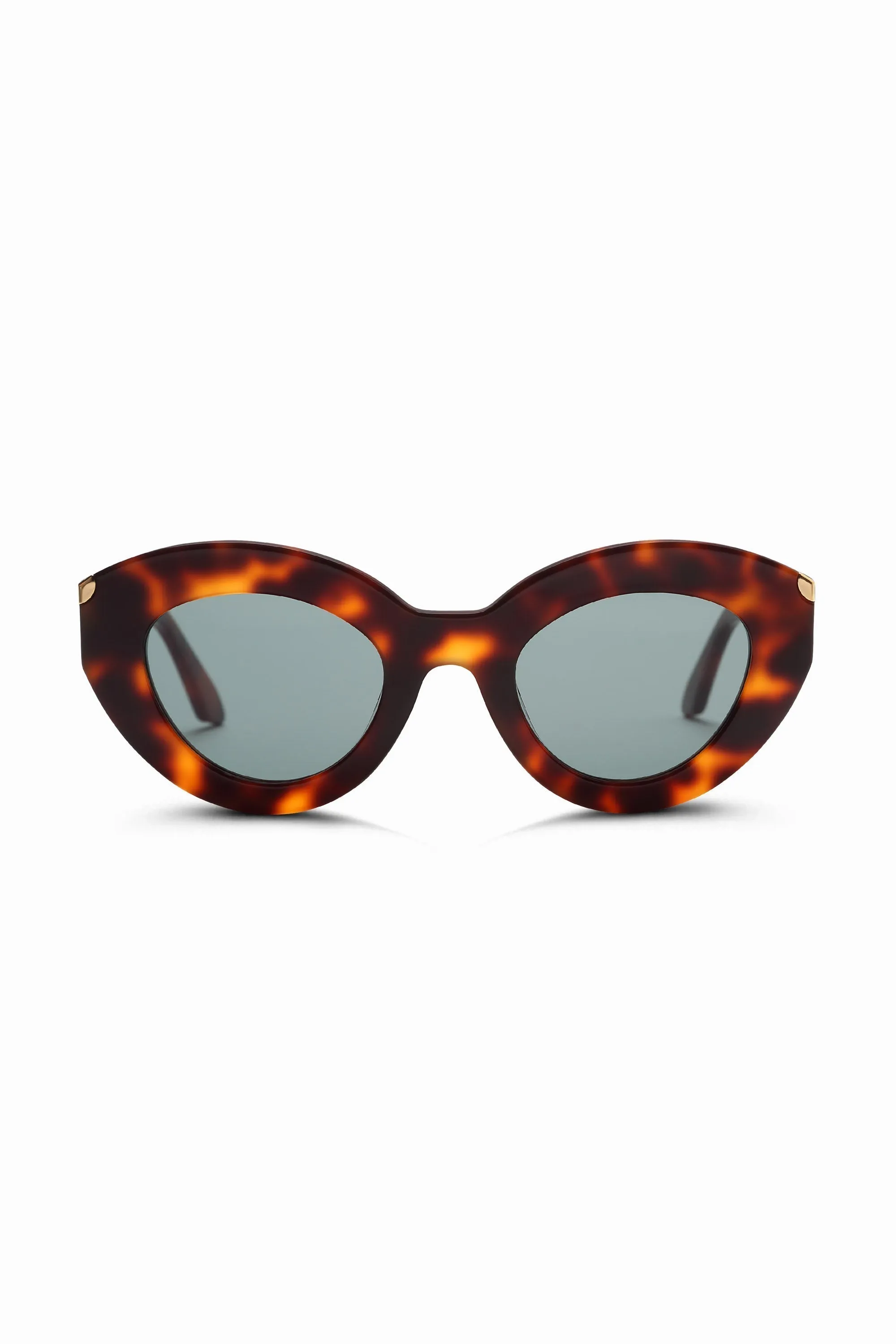 Dolly Sunglasses In Tort