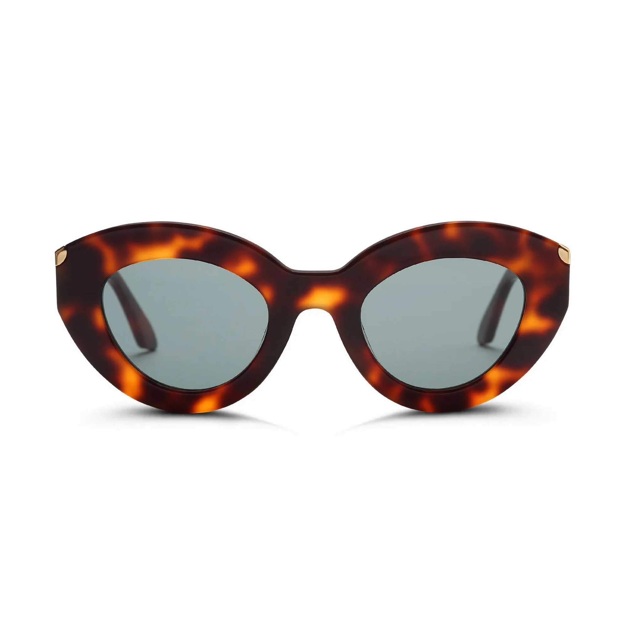 Dolly Sunglasses In Tort