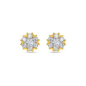 Jamarin Earring